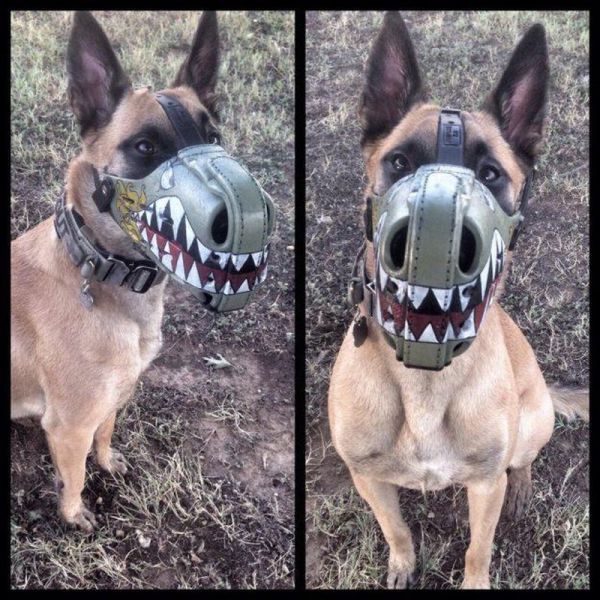 Daily Picdump