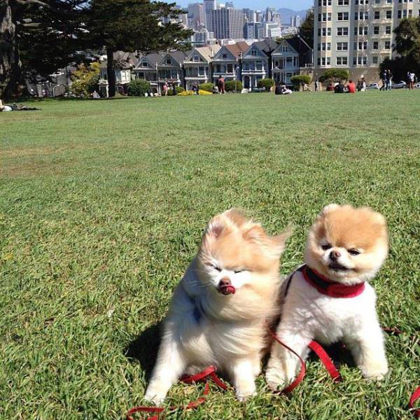 When Wind Is a Total Jerk