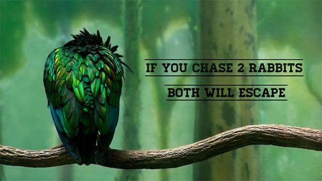 Quotes to Inspire and Motivate You Today