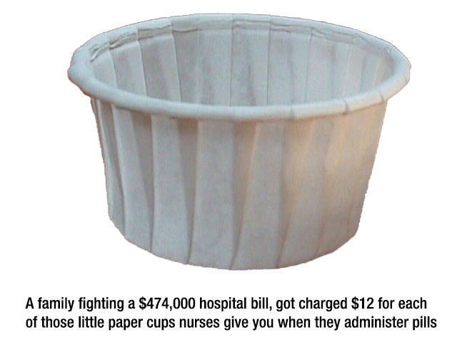 Interesting Facts about Anything and Everything