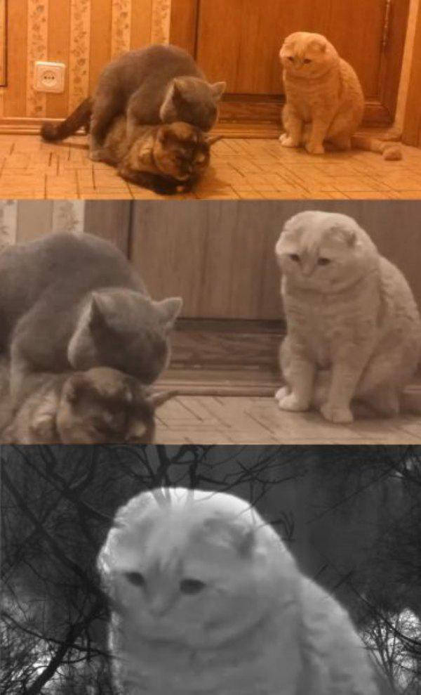 Life Is Hard When You