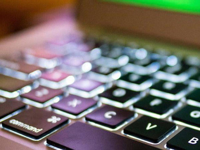 Scintillating Facts about the Sex Industry