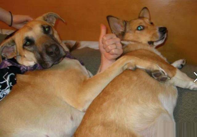 Wait, Take a Closer Look!