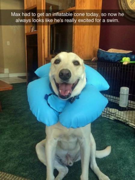 Daily Picdump