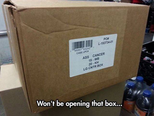 Daily Picdump