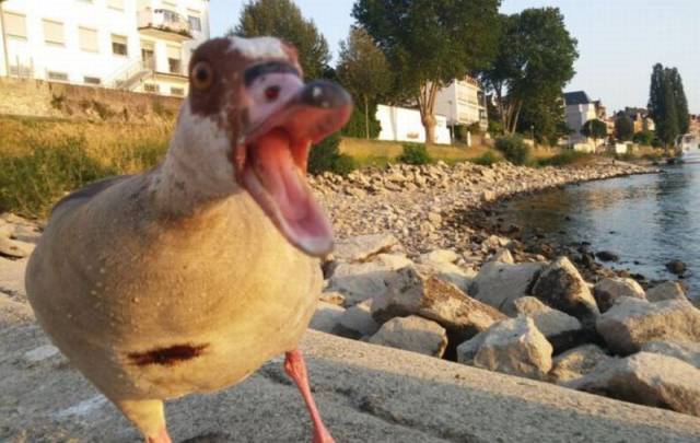 Daily Picdump
