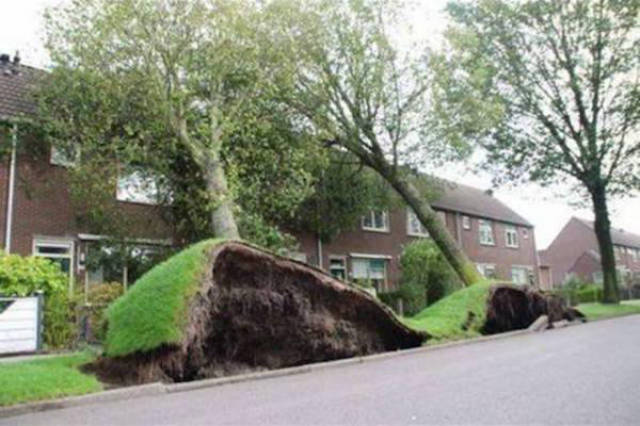 When Wind Is a Total Jerk