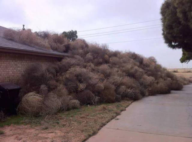 When Wind Is a Total Jerk