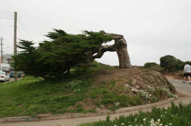 When Wind Is a Total Jerk