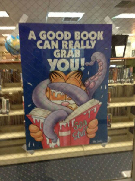 Morning Picdump