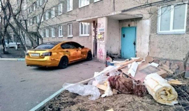 Morning Picdump