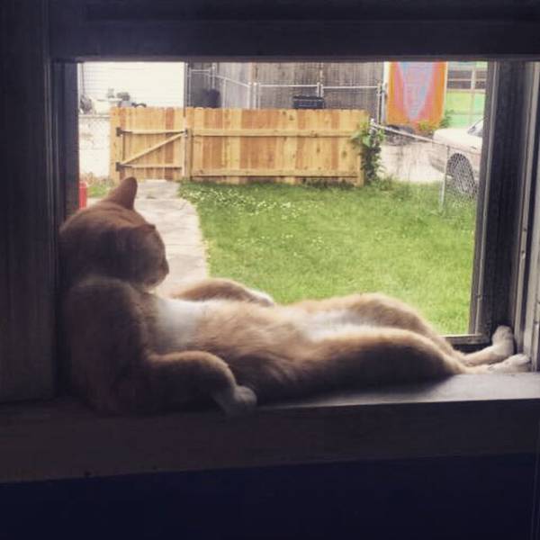 Morning Picdump