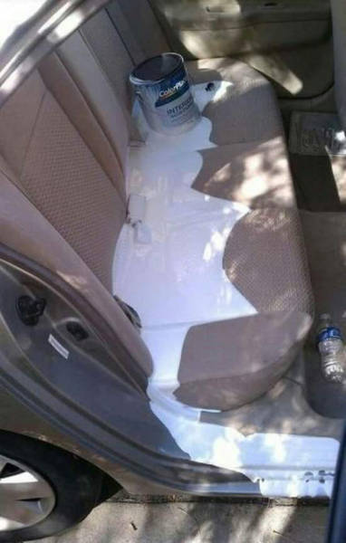 Morning Picdump