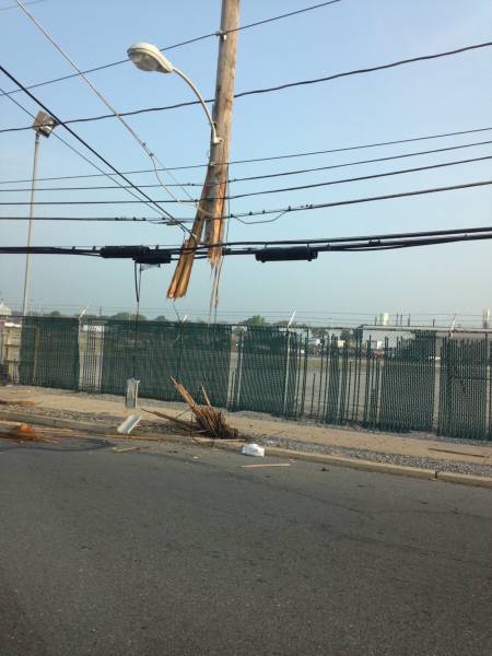 Morning Picdump