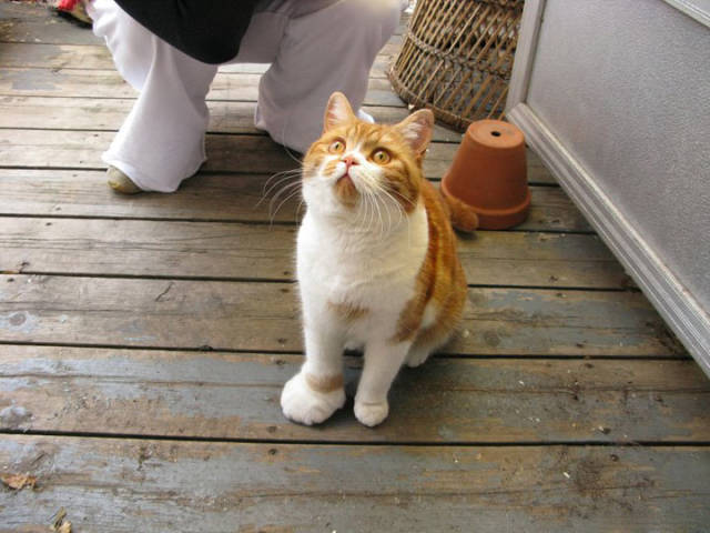 Morning Picdump
