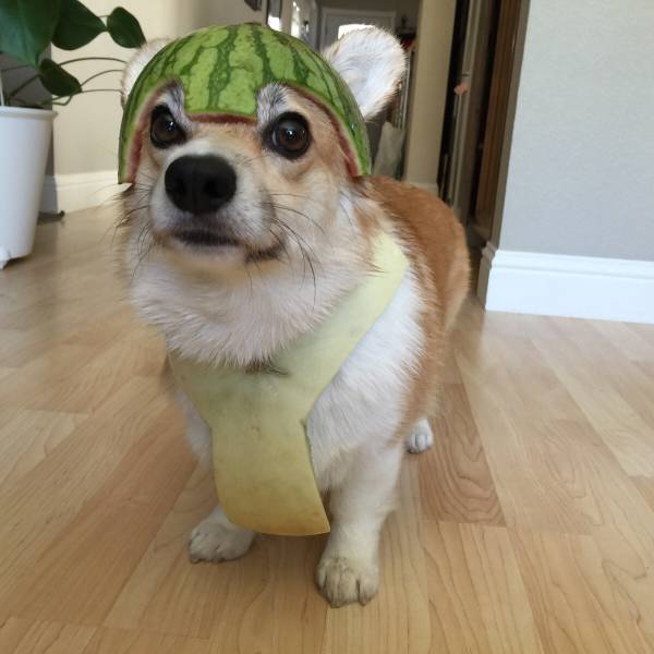 Morning Picdump