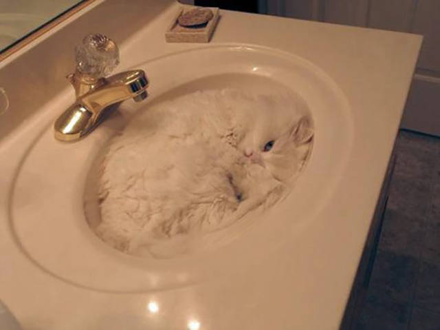Morning Picdump
