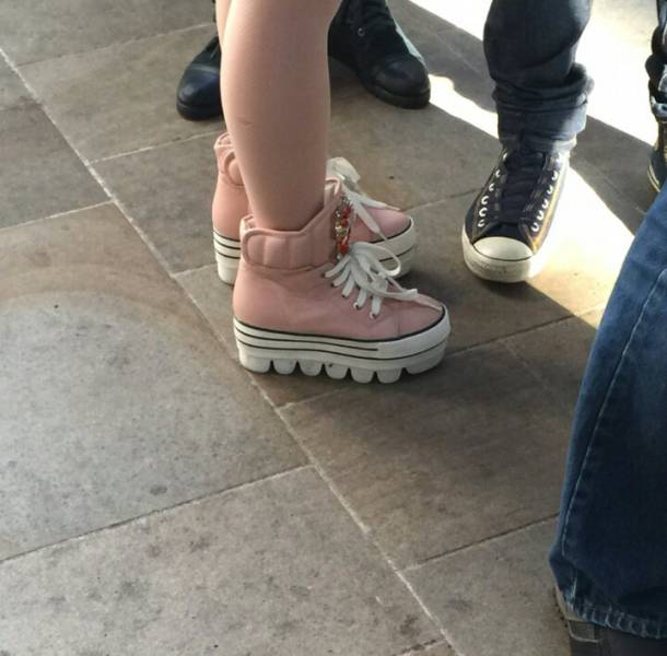 Morning Picdump