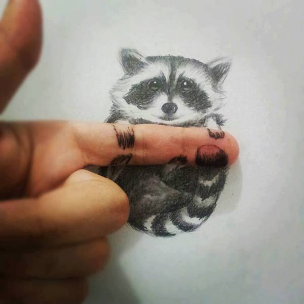 Morning Picdump