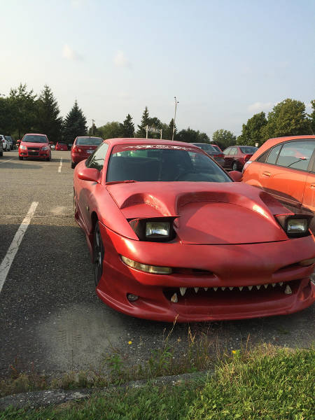 Morning Picdump