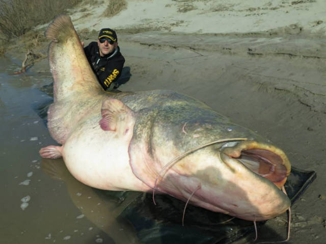 Some of the World’s Biggest Things Ever