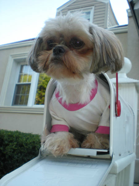 Morning Picdump