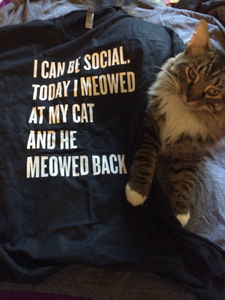 Morning Picdump