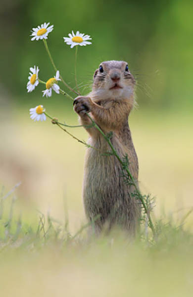 Morning Picdump