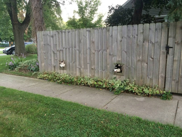 Morning Picdump