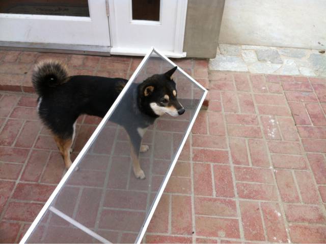 Morning Picdump