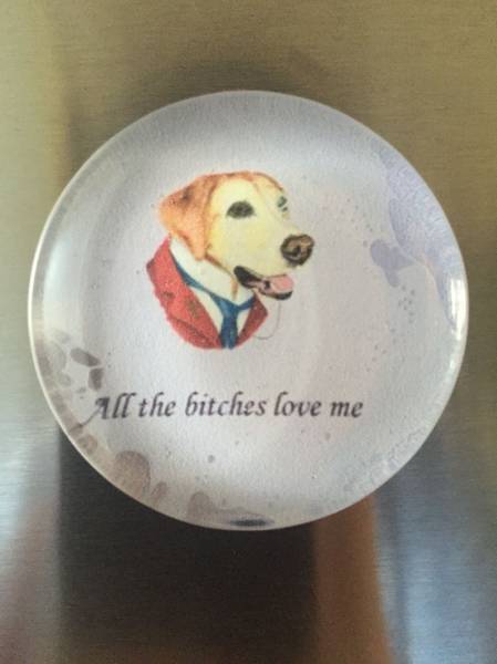 Morning Picdump