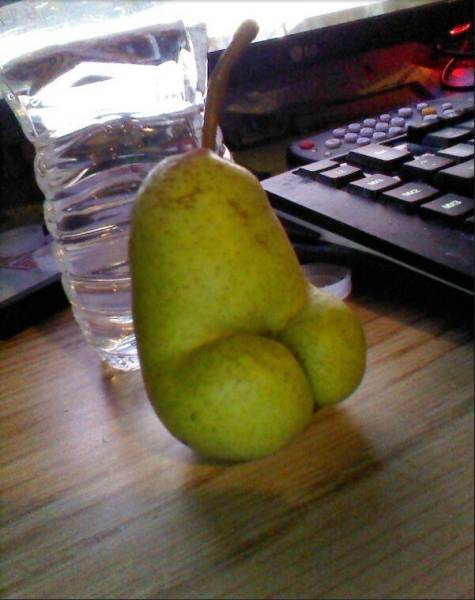 Morning Picdump