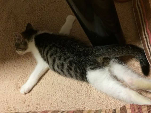 Morning Picdump
