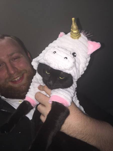 Morning Picdump