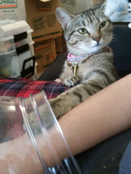 Morning Picdump