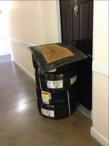Morning Picdump