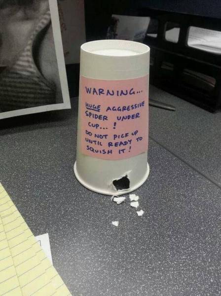 Morning Picdump