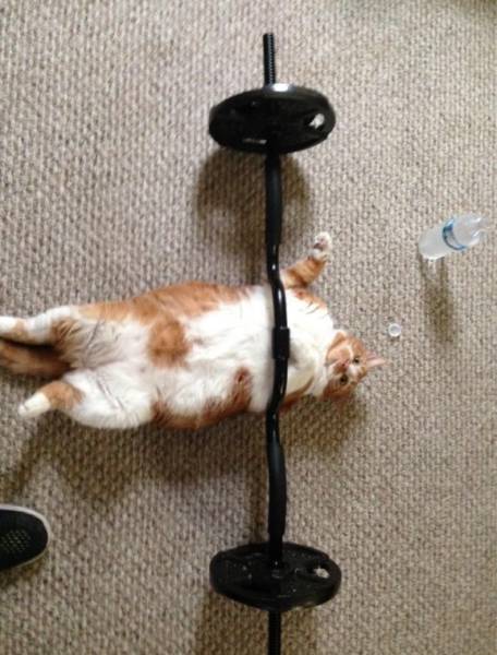 Morning Picdump