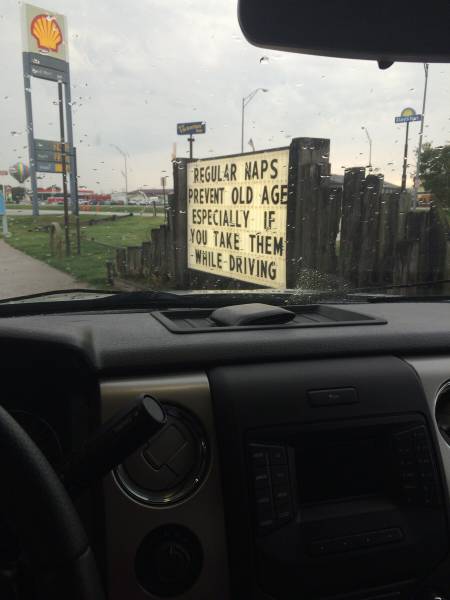 Morning Picdump