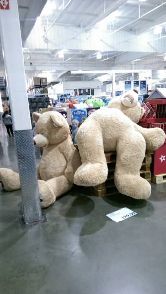 Morning Picdump