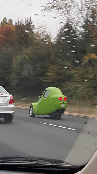 Morning Picdump