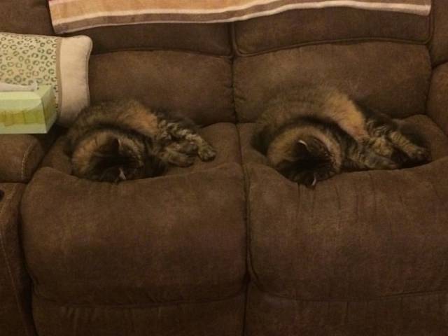 Morning Picdump
