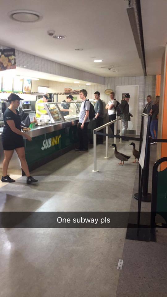 Morning Picdump
