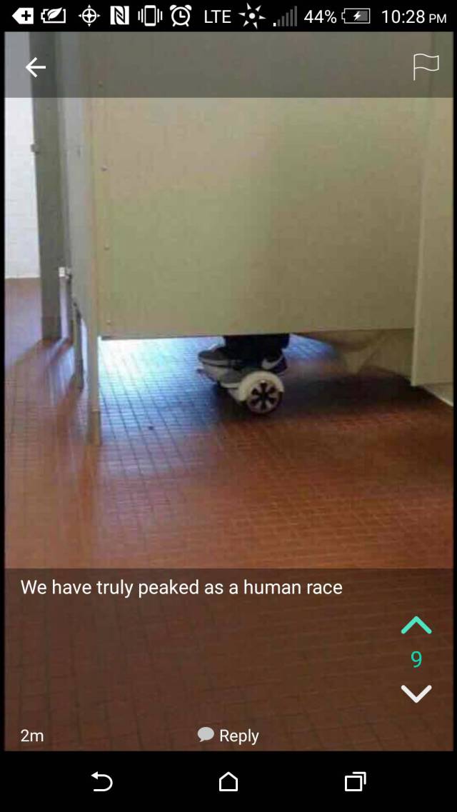 Morning Picdump