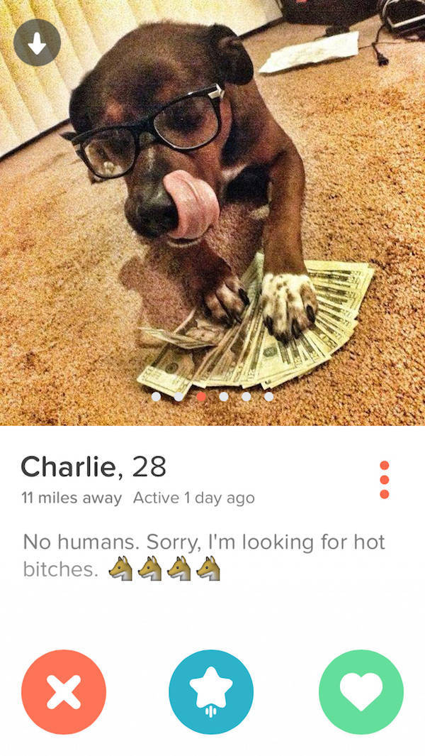 Tinder Profiles That Aren’t Messing Around