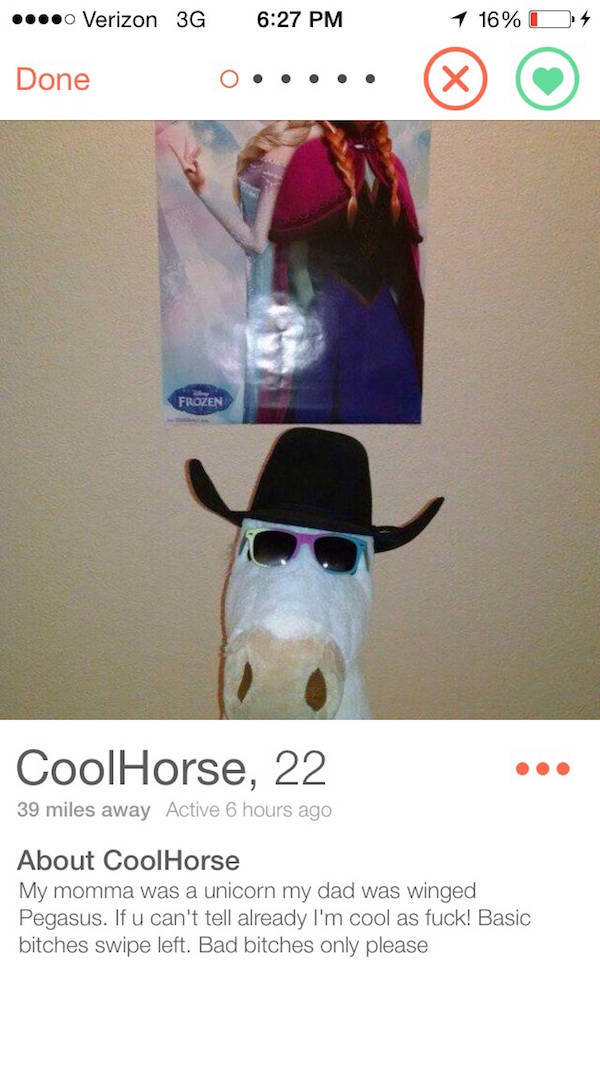 Tinder Profiles That Aren’t Messing Around