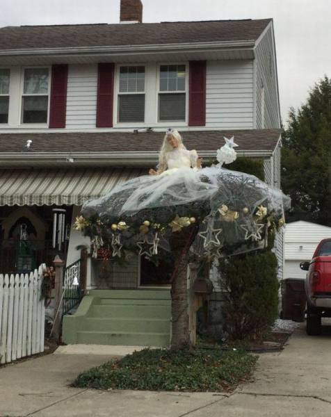 Daily Picdump