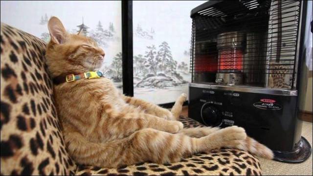 Daily Picdump
