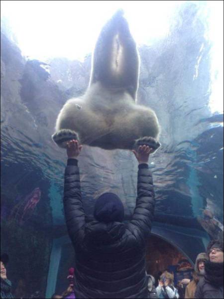 Daily Picdump