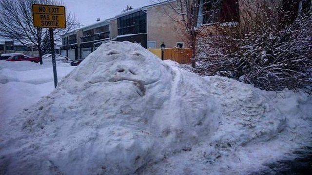 Daily Picdump